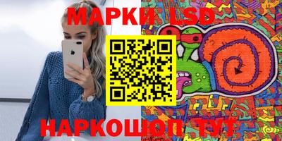 Альфа ПВП Будённовск