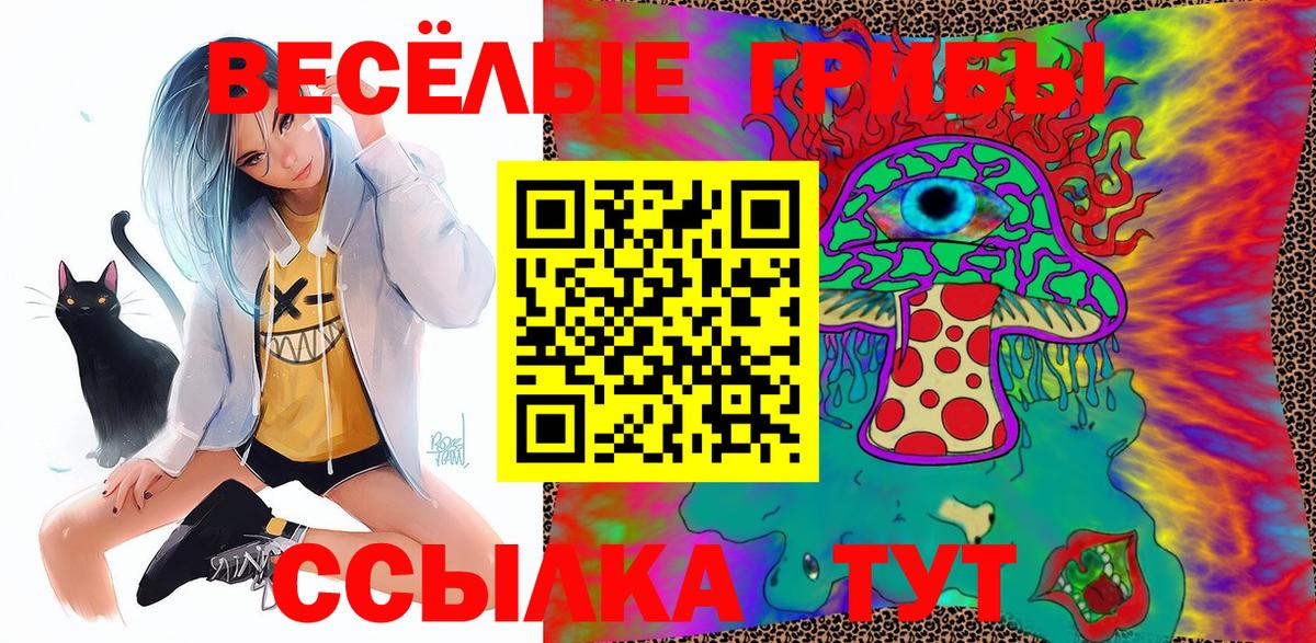 Галлюциногенные грибы Psilocybine cubensis  Галлюциногенные грибы Psilocybe  купить наркотики сайты  Вход с VPN  Нальчик 