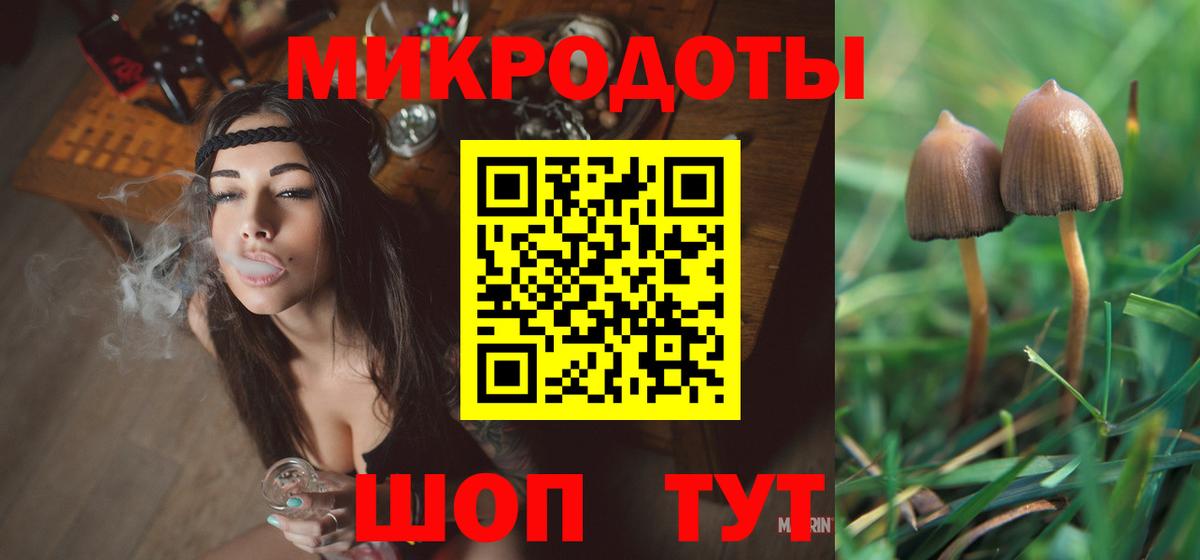 Псилоцибиновые грибы Psilocybine cubensis Нальчик